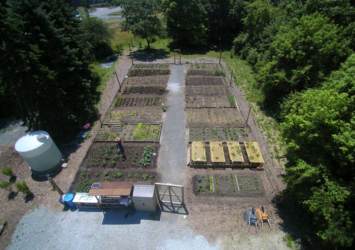 Rosslyn Farms Community Garden