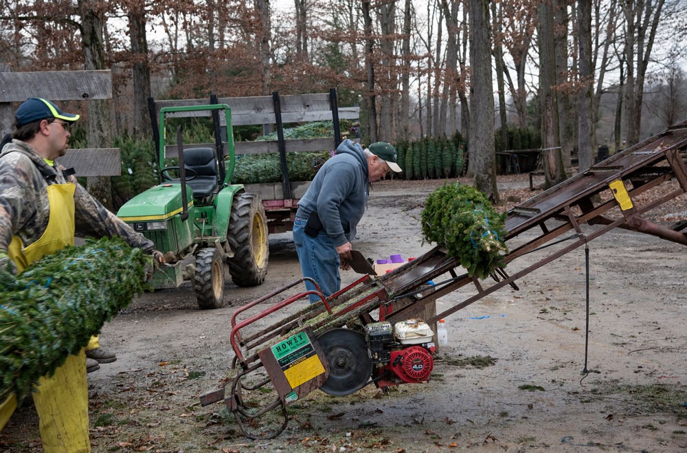 Indiana County Tree Farmers Keep the Green in Christmas - Pittsburgh Quarterly