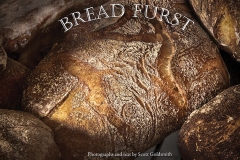 The cover of the book