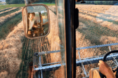 2025-11-25-11-scaled-e1764132128154