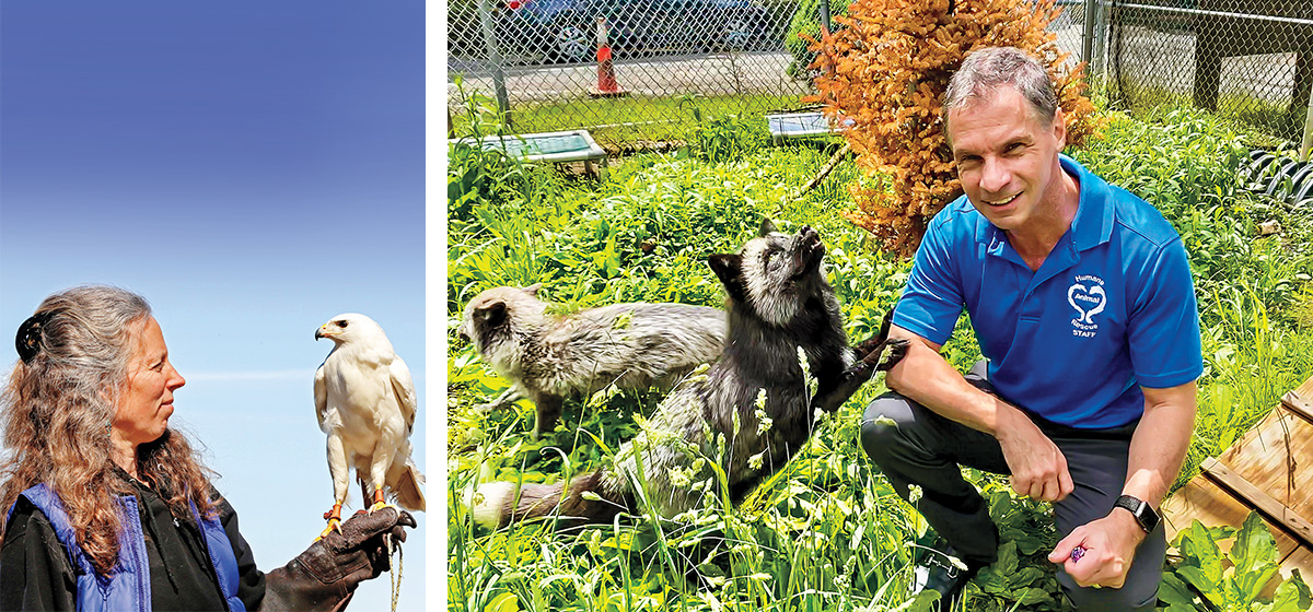 Saving Injured Animals - Pittsburgh Quarterly