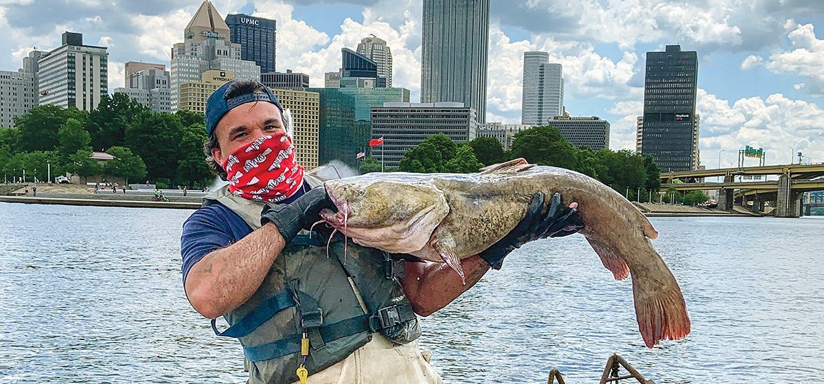 Pittsburgh's Huge Flathead Catfish Rule the Rivers - Pittsburgh