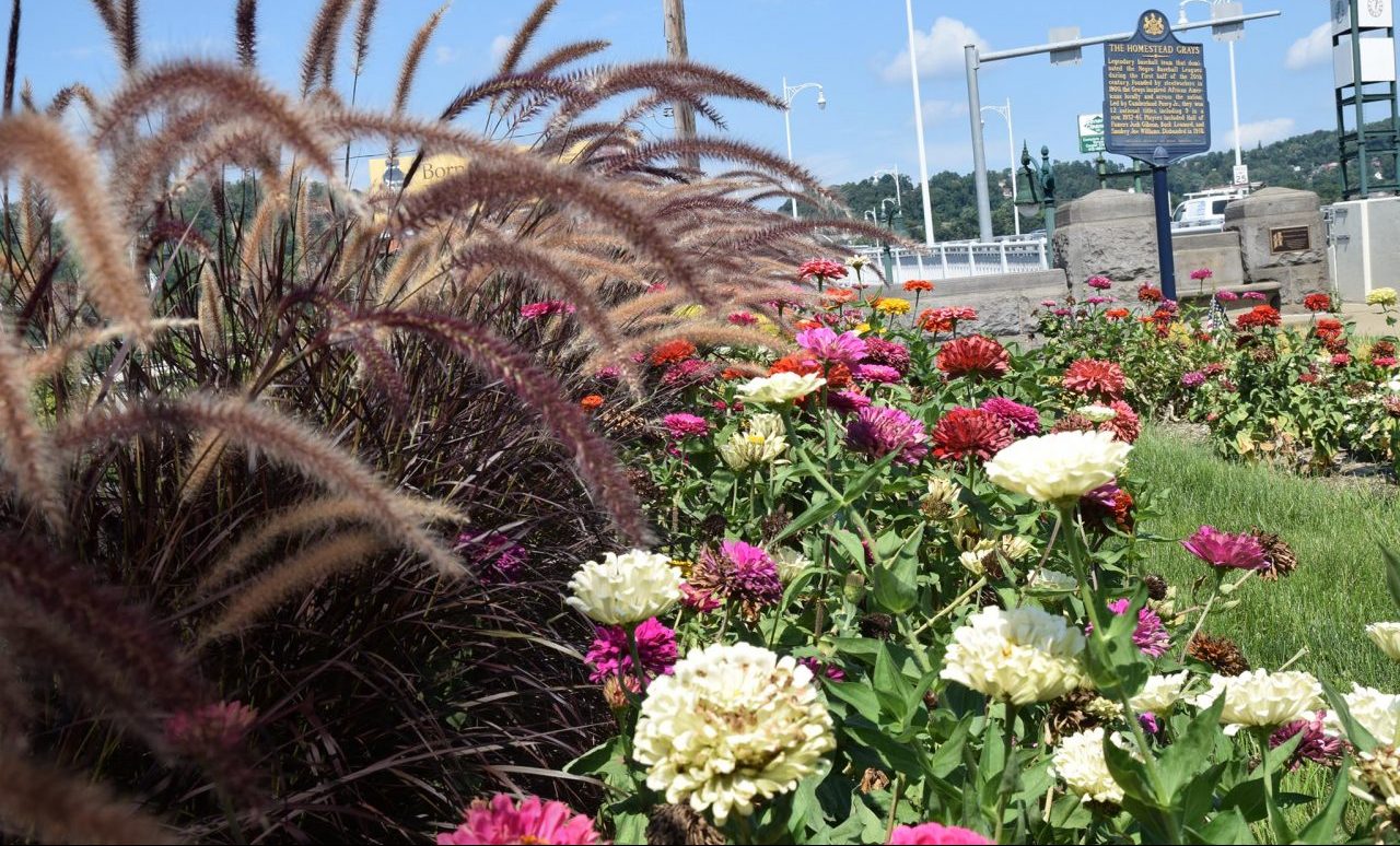 Touring Pittsburgh’s Community Flower Gardens Pittsburgh Quarterly