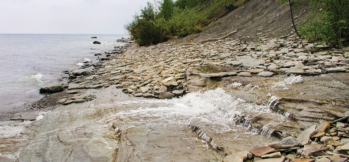 Lake Erie Bluffs