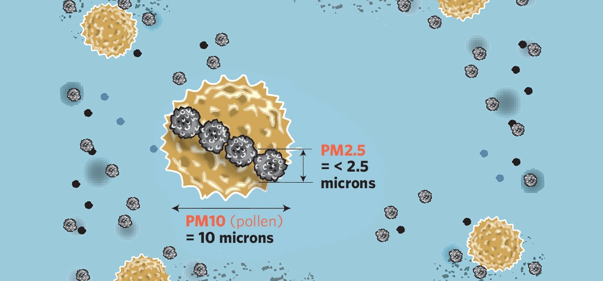 Что такое pm 2.5